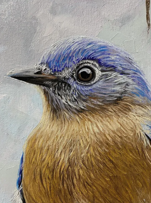 Bluebird on red berries (2023)